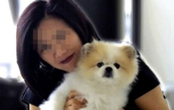В Гонконге умерла собака, заразившаяся коронавирусом