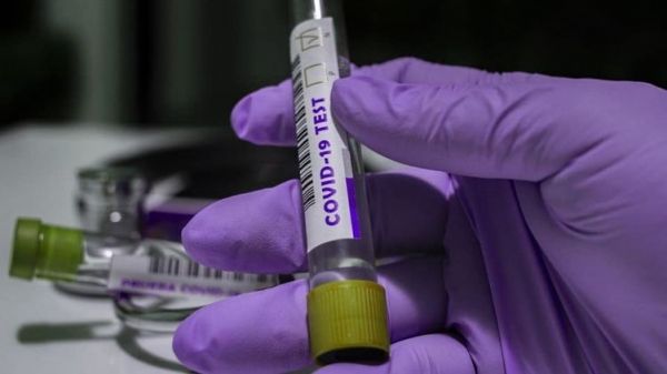     Новости Херсона – На базе отдыха из-за Covid-19 изолированы почти 200 человек - коронавирус новости    