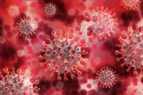     Коронавирус новости - В ВОЗ рассказали, у кого меньше всего риска  заразиться COVID-19 - коронавирус новости    