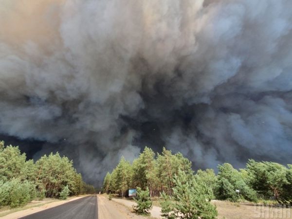     Лесные пожары в Украине – Названа ориентировочная сумма ущерба от пожара на Луганщине - новости Украина    