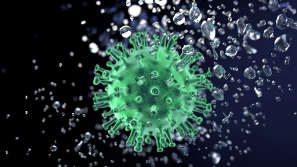     Коронавирус и фейки – почти 1000 людей умерла из-за фейков о COVID-19 - коронавирус новости    