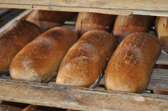     В Украине взлетят цены на хлеб: эксперт озвучил цифры    