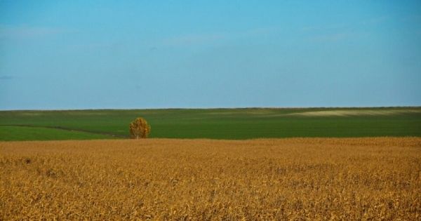 Названы регионы, в которых скупают землю активнее всего