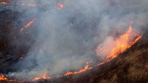 Мир страдает от масштабных лесных пожаров: главные очаги