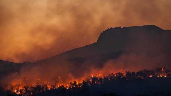 Мир страдает от масштабных лесных пожаров: главные очаги