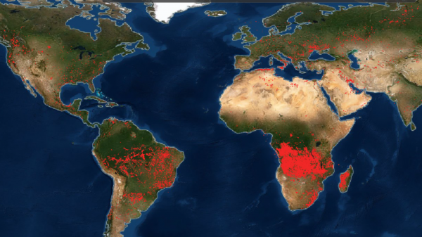 NASA опубликовало территории, охваченные пожарами: карта