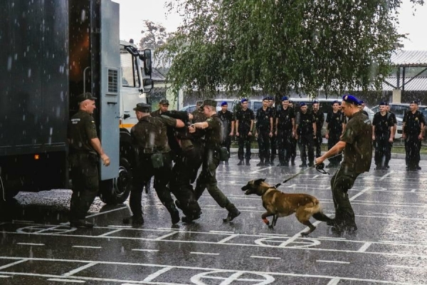 "Четверолапое пополнение". В Харькове нацгвардейцам передали пять щенков немецкой овчарки