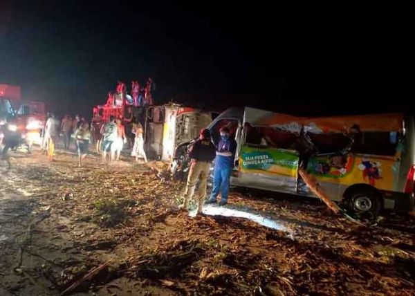 В Аргентине пассажиров автобуса убило бревнами эвкалипта: много жертв и пострадавших