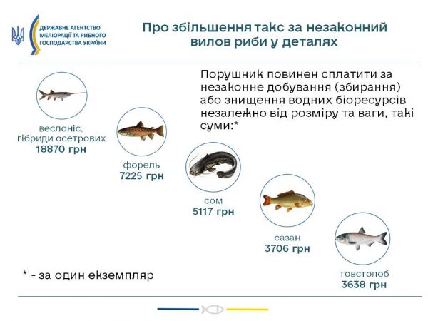 Поймал рака - плати 3 тысячи: все о новых штрафах за незаконную рыбалку - Новости на KP.UA