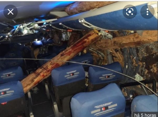 В Аргентине пассажиров автобуса убило бревнами эвкалипта: много жертв и пострадавших