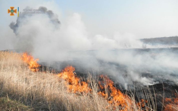 В Луганской области погиб мужчина из-за сжигания сухой травы