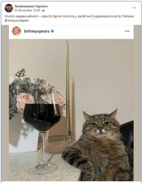Любимчик Бритни Спирс: украинский кот Степан стал Instagram звездой (Фото)