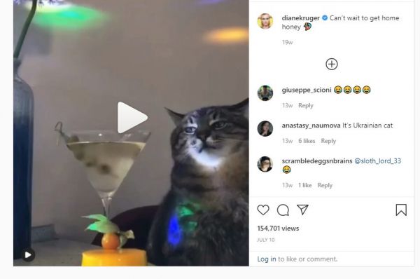 Любимчик Бритни Спирс: украинский кот Степан стал Instagram звездой (Фото)