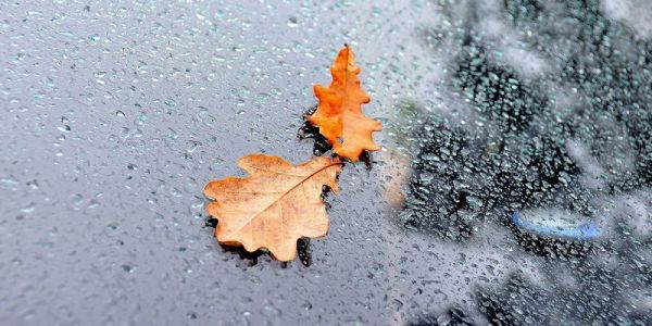 Дождливо и прохладно: какой будет погода в Днепре 19 ноября
