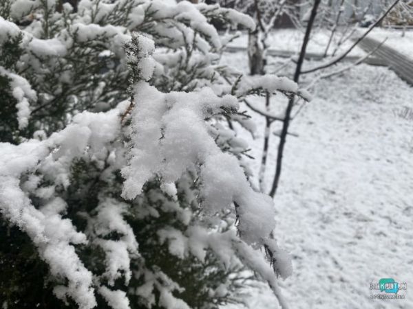 Настоящая зима на пороге: в Днепре выпал долгожданный снег (Фото)