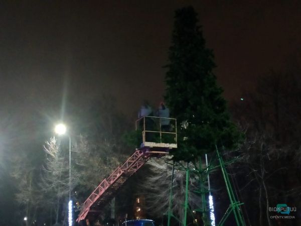В днепровском парке Зеленый гай устанавливают новогоднюю ёлку (Фото)