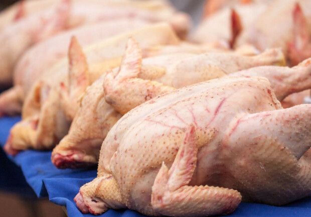 Зараженную сальмонеллой курятину завезли в Украину 