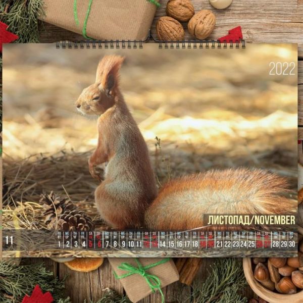 Фотограф из Днепра представил «беличий» календарь на 2022 год