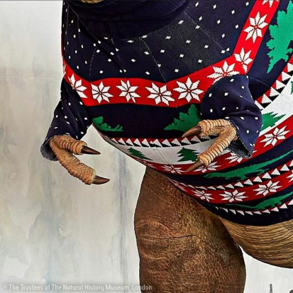 Новогодний тиранозавр: в музее Великобритании ящера нарядили в праздничный свитер