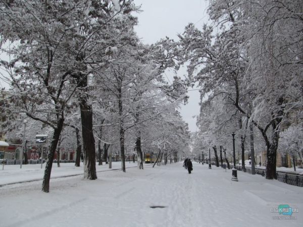 Зимняя сказка: Днепр накрыло снежным покрывалом (Фото)