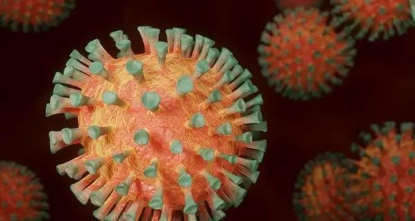 Украина получит от Всемирного банка 150 миллионов долларов на борьбу с коронавирусом - Коронавирус