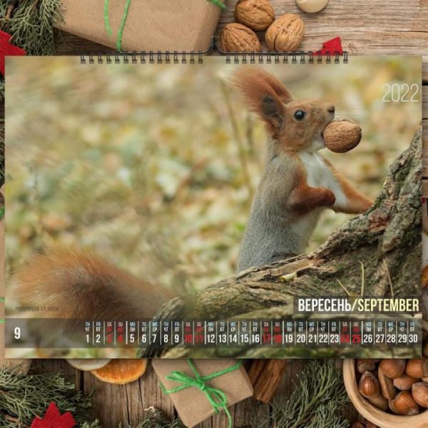 Фотограф из Днепра представил «беличий» календарь на 2022 год