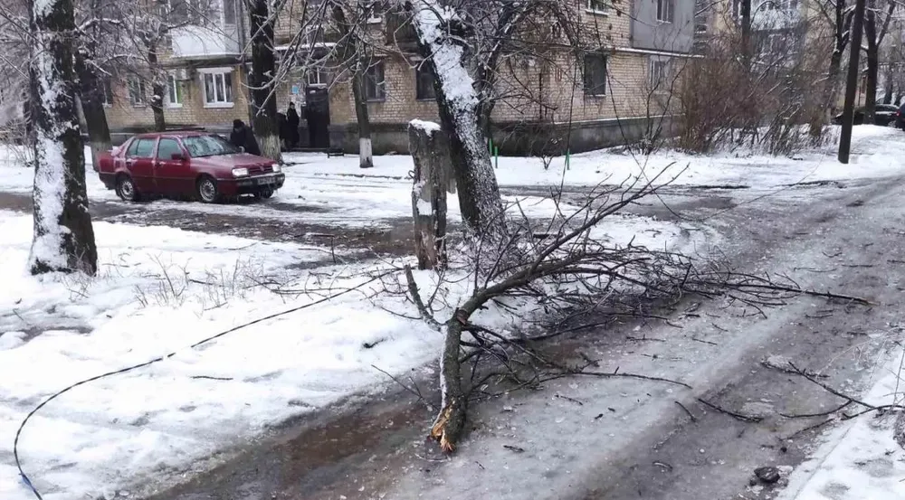 Ожеледь, пориви ліній електропередач – в Бердянську ліквідовують наслідки негоди
