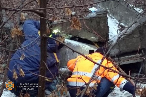 В Днепропетровской области спасатели пришли на помощь двум четырехлапым (Фото)