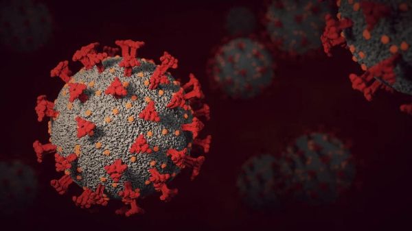Коронавирус-2022: когда ждать начало конца пандемии - Коронавирус