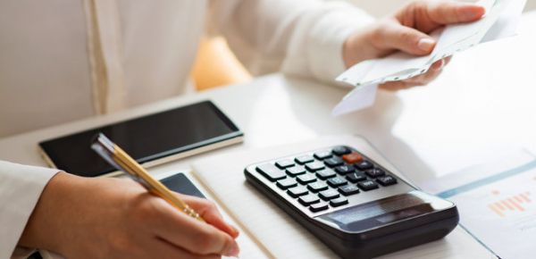 
ФОПы могут подать годовую декларацию в Дии: как это сделать 
