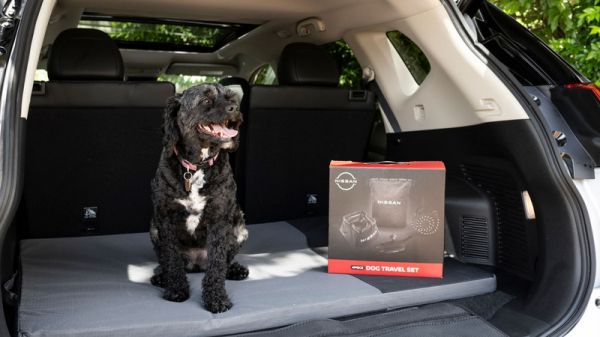 Nissan представил фирменные аксессуары для путешествий с собаками