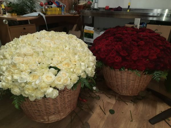 Вінничанці іноземець переслав до Нового року тисячу білих та червоних троянд                    
