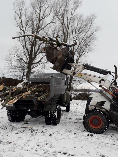 Село на Вінниччині нарізало стільки дров з аварійних дерев, що вистачить на опалення школи наступного сезону. Фото                     
