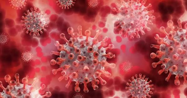 Ученые США предупредили, что "Омикрон" не станет последней мутацией коронавируса - Коронавирус