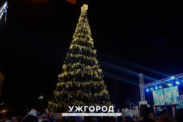 В Украине назвали ТОП-10 лучших новогодних елок (Фото)