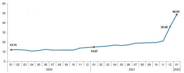 
Инфляция в Турции приблизилась к 50% 
