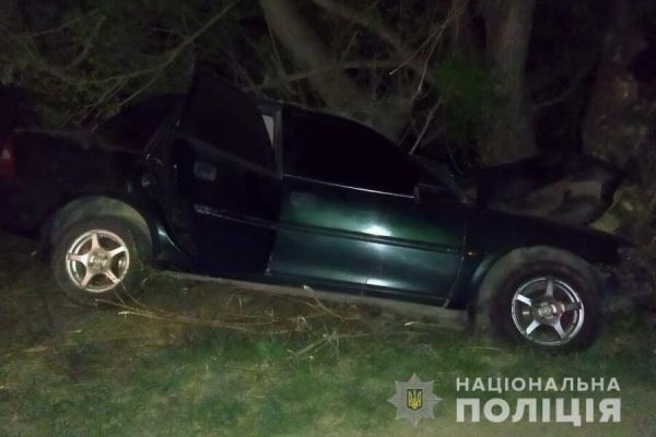 У Жмеринському районі автомобіль злетів в кювет та врізався в дерево. Водій загинув на місці                    
