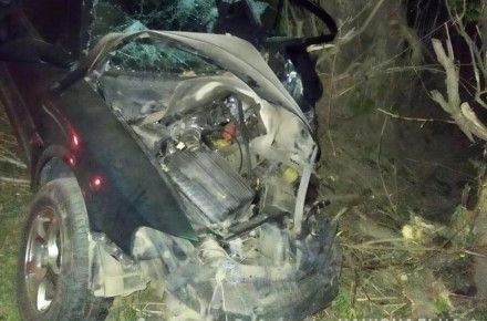 У Жмеринському районі автомобіль злетів в кювет та врізався в дерево. Водій загинув на місці                    
