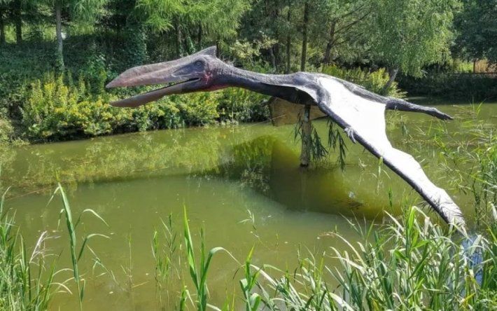 В Аргентине раскопали гигантского "дракона смерти"