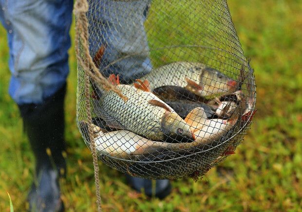 Возле Страхолесья браконьеры выловили рыбы на сумму свыше 400 тысяч гривен. 