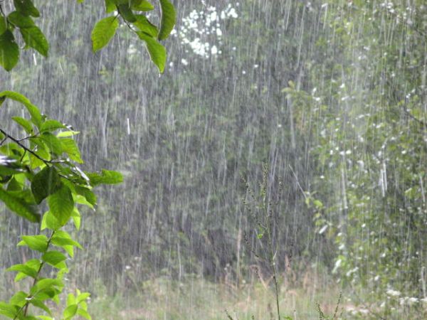 В Днепр и область идёт дождевой фронт: подробности