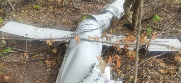 Над Вінниччиною збили російську ракету «Калібр», її знайшли лісничі. Фото                     
