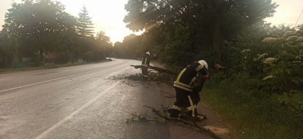 На Вінниччині негода наламала дров, повалені дерева прибрали з доріг                     
