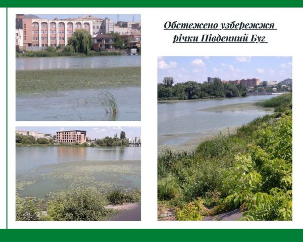 Екологи Вінниччини перевірили зелені плями, що з’явились на поверхні річки Південний Буг                     

