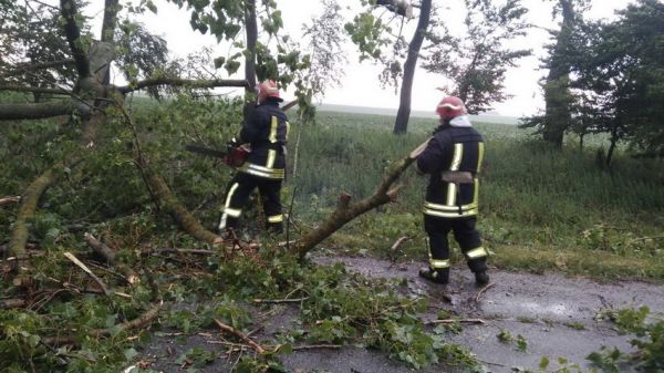 На Вінниччині негода наламала дров, повалені дерева прибрали з доріг                     
