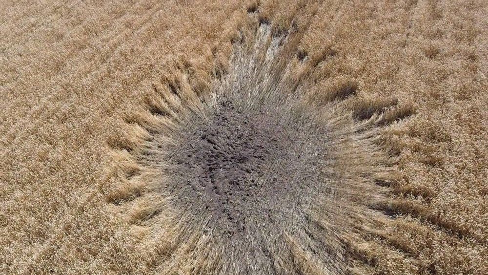 Защитники Запорожского края обезвреживают  боеприпасы на полях (Фото1)