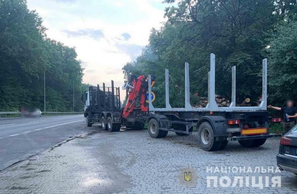 На Вінниччині поліцейські викрили водія який незаконно перевозив деревину                    
