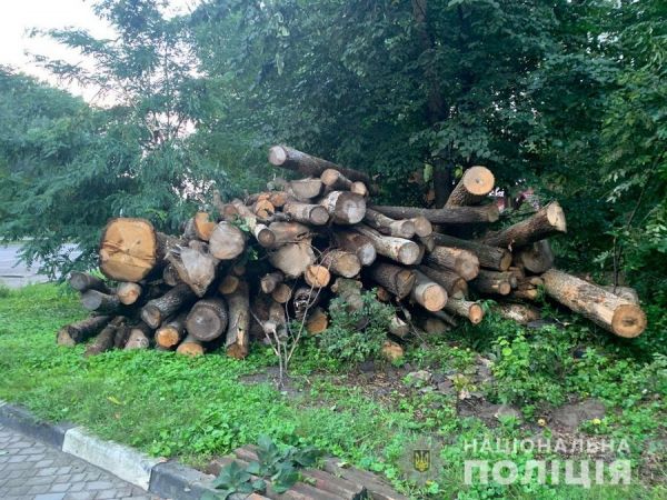 На Вінниччині поліцейські викрили водія який незаконно перевозив деревину                    
