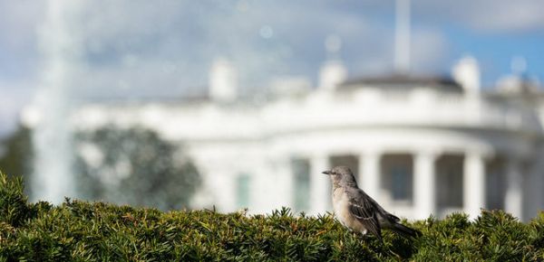 
Подарунок до Дня Незалежності. США надали Україні $3 млрд: куди підуть гроші 