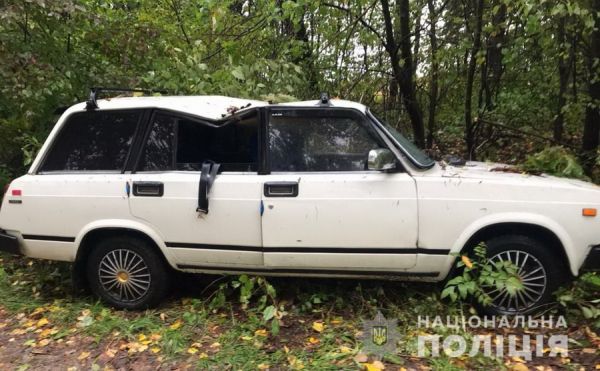 На Вінниччині дерево впало на автомобіль і вбило водія                    
